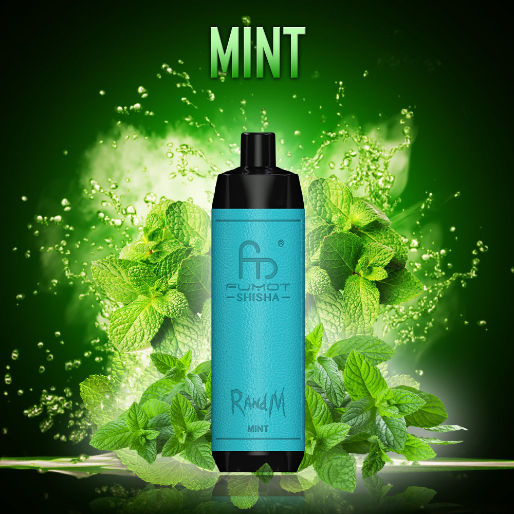 RandM Shisha 10000 Mint Minze RandM Tornado Vapes RandM Shisha 10000 Mint Minze RandM Tornado Vapes