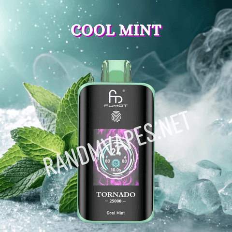 vape-25000-cool-mint-randm-tornado
