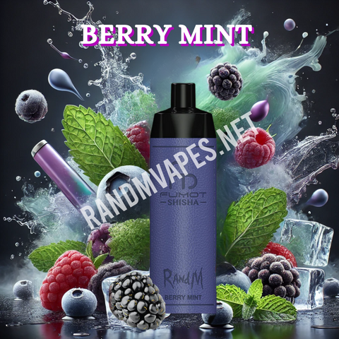 RandM Shisha Vape 10000 Berry Mint
