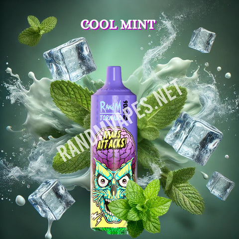 RandM Tornado Vape 9000 Cool Mint