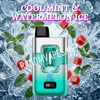 Cool Mint & Watermelon Ice