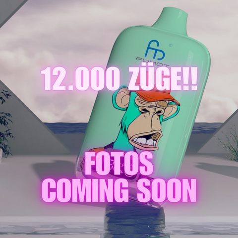 RandM 12000 Vimto, Vimto 