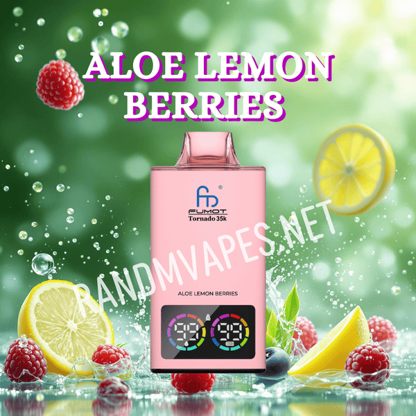 RandM Tornado Vape 35000 Aloe Lemon Berries bei uns erhältlich – RandM  Tornado Vapes